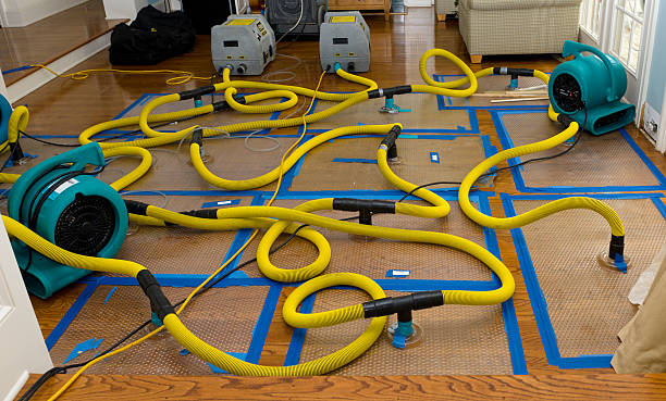 Professional Basement Flood Cleanup technician working in Sulphur Springs, OH